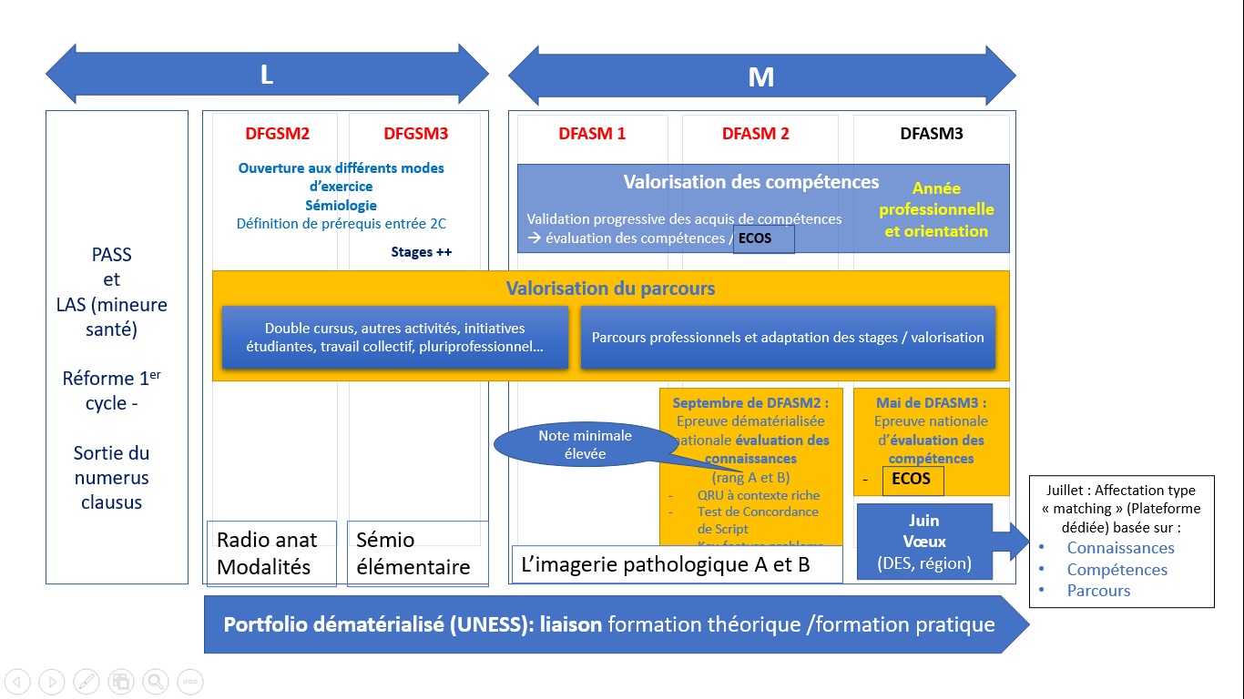 Schéma du 1er cycle des études médicales : PASS/LAS, DFGSM2, DFGSM3, DFASM1-3