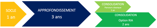 Les 3 phases du DES de radiologie : socle (1 an), approfondissement (3 ans), consolidation (1 ou 2 ans)